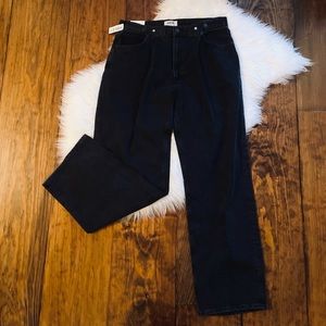 Agolde Baggy Jeans w/ Tab